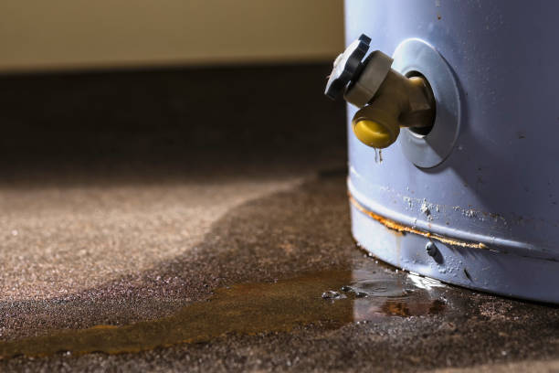 Best Flood restoration services  in Fiskdale, MA