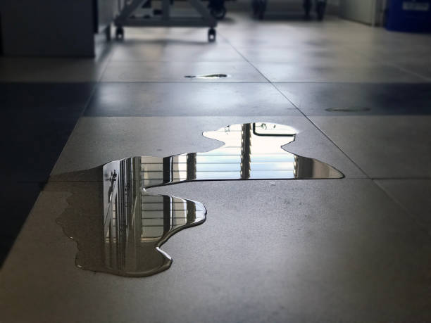 Best 24-hour water damage restoration  in Fiskdale, MA