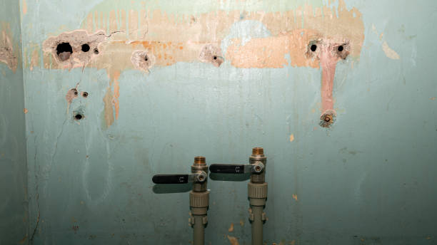 Best Sewage cleanup and water damage restoration  in Fiskdale, MA